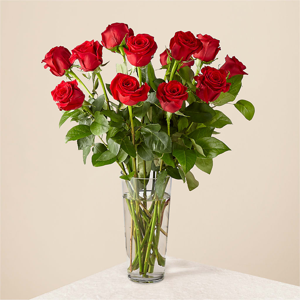 Long Stem Red Rose Bouquet – Flower.delivery, Tontitown AR