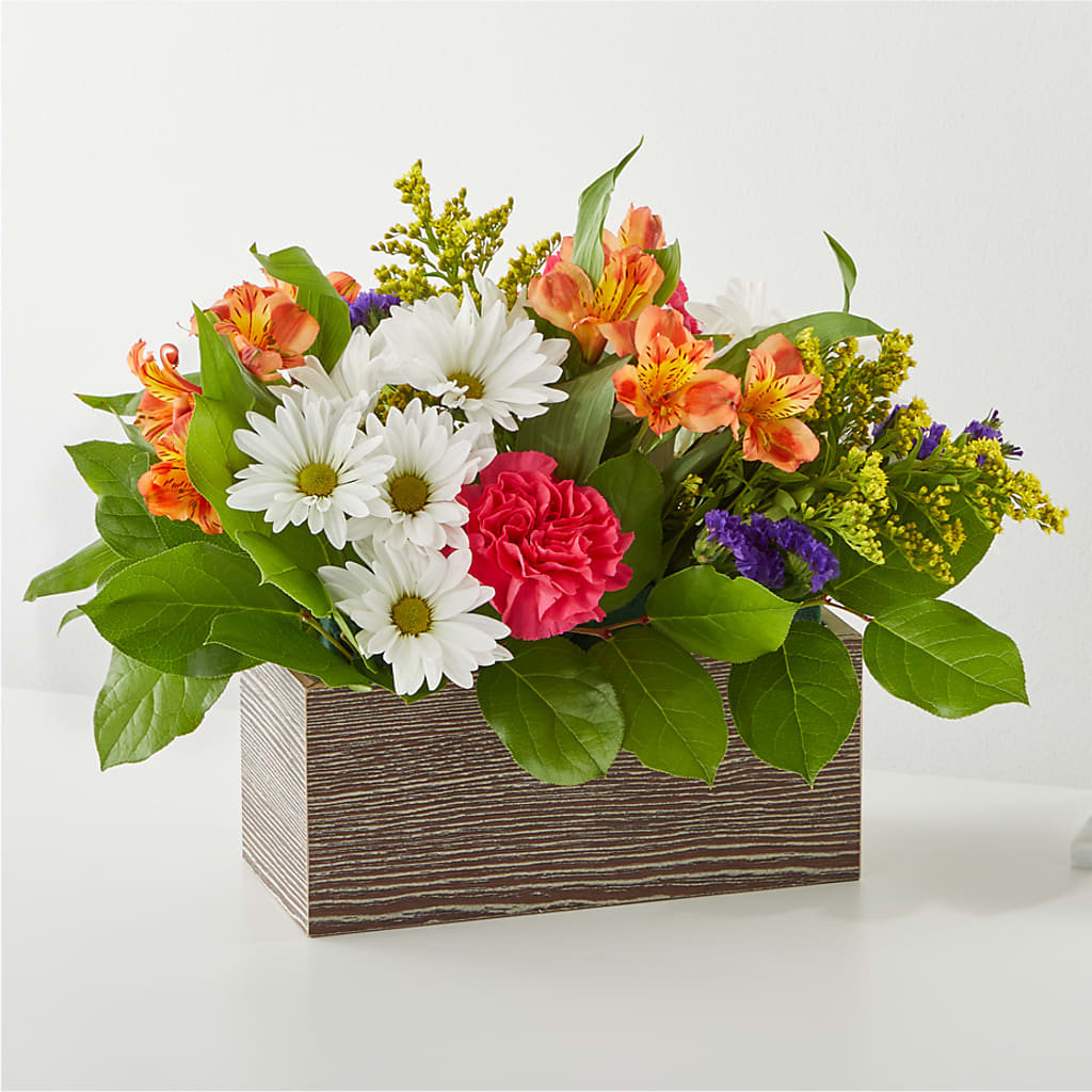 Oopsie Daisy Box Bouquet – Flower.delivery, Tontitown AR