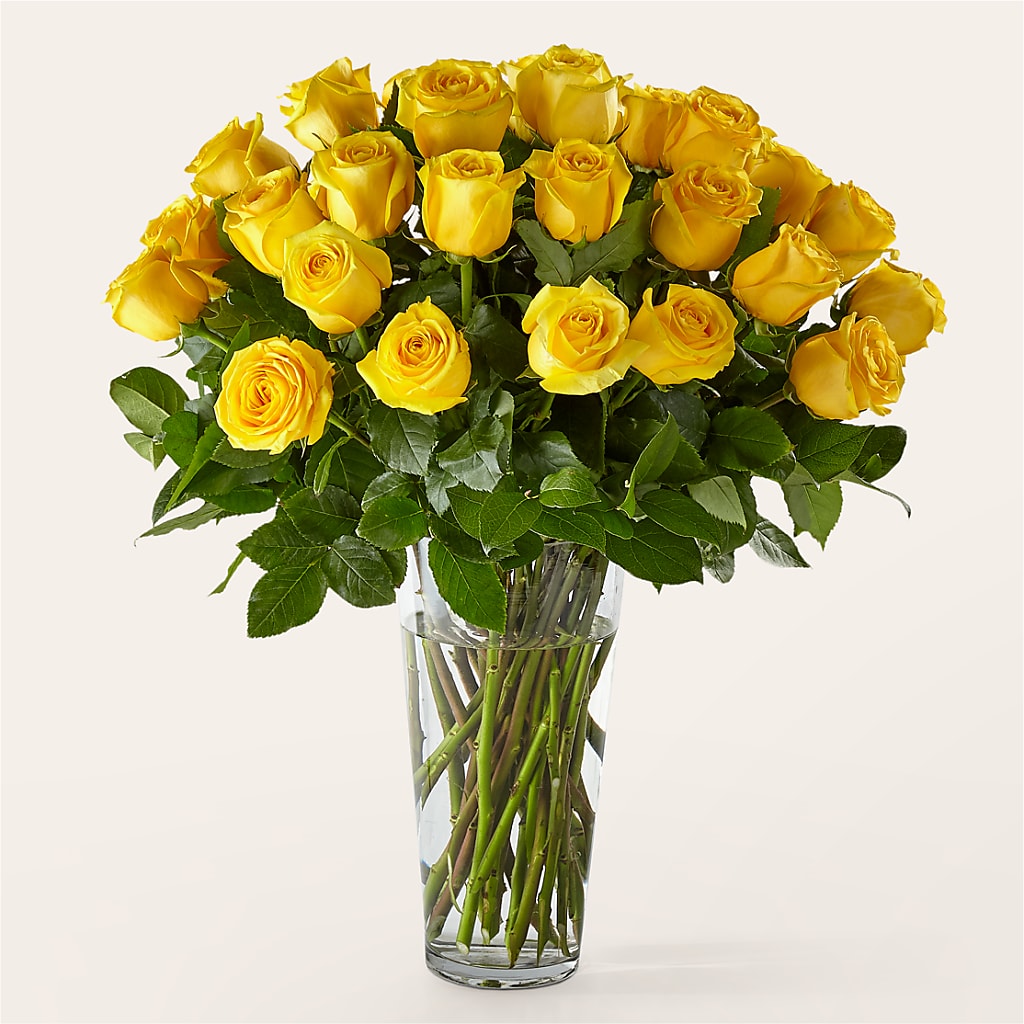 Long Stem Yellow Rose Bouquet – Flower.delivery, Tontitown AR