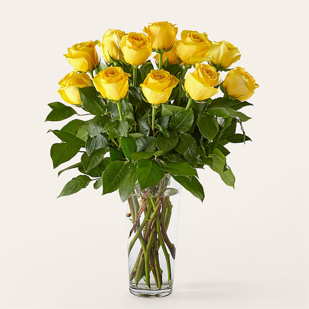 Long Stem Yellow Rose Bouquet – Flower.delivery, Tontitown AR