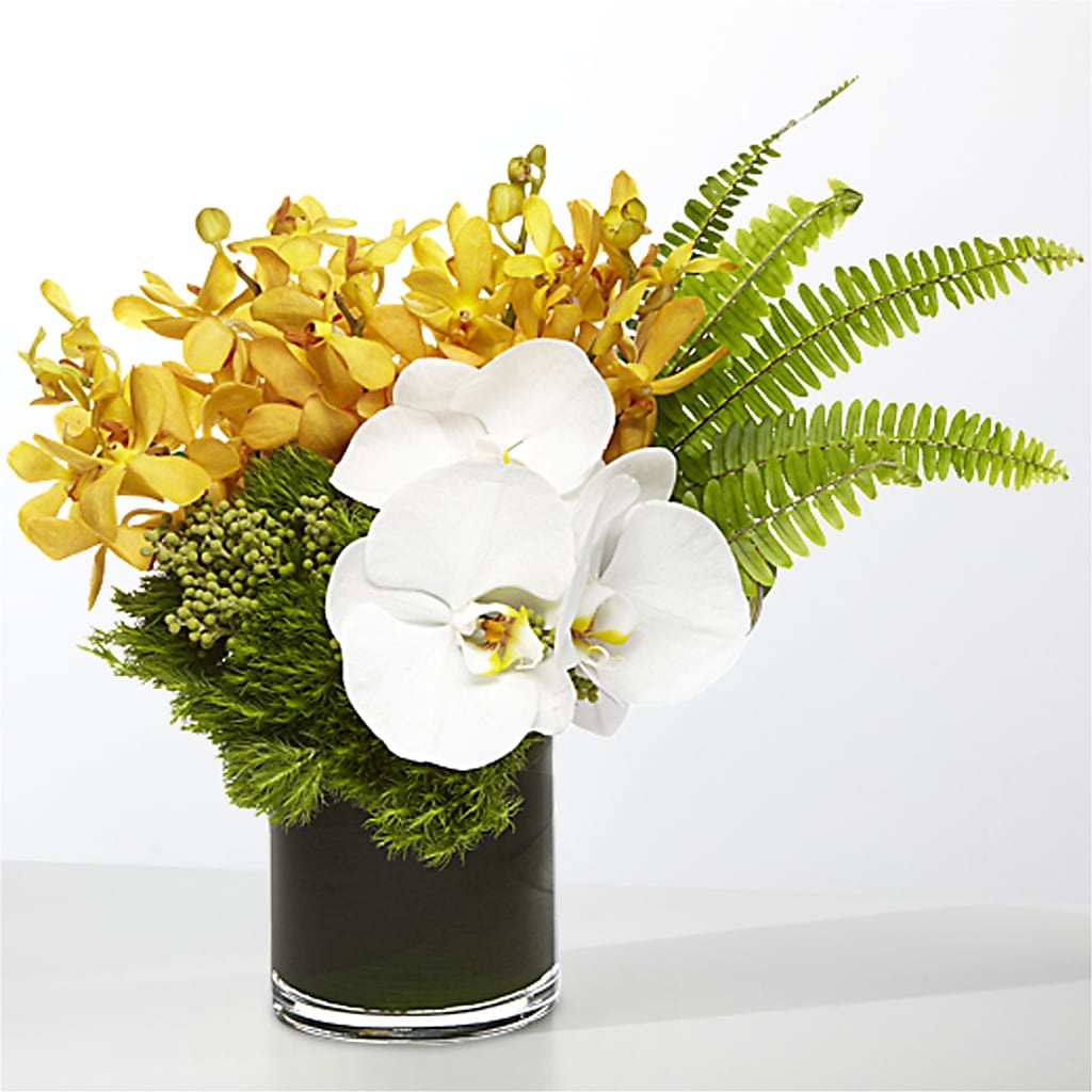 The Tropics – Flower.delivery, Tontitown AR