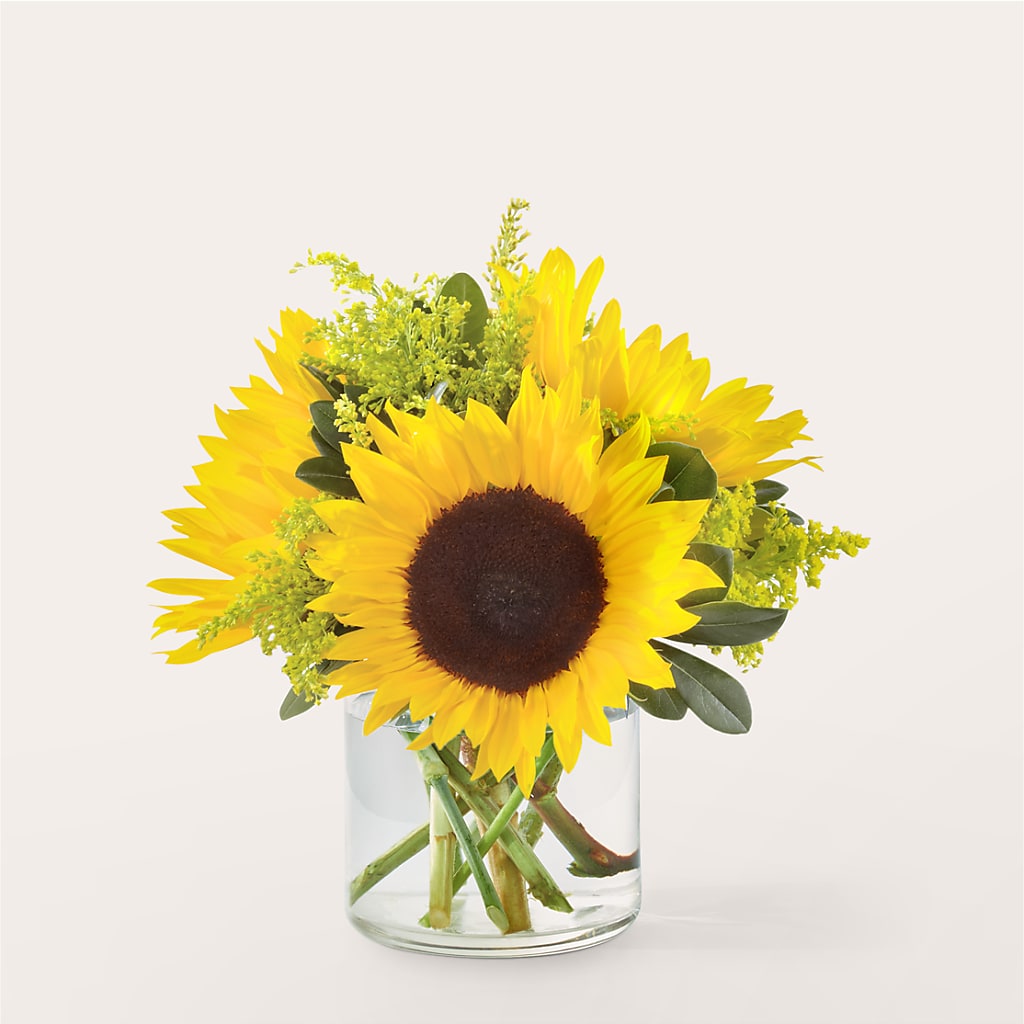 Beaming Sunflower Bouquet – Flower.delivery, Tontitown AR