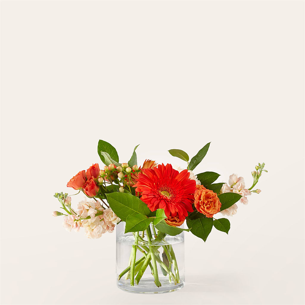 Paloma Please Bouquet – Flower.delivery, Tontitown AR
