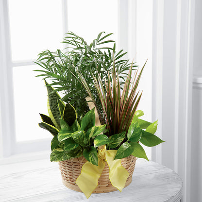 French Garden –  Flower.delivery, Tontitown AR