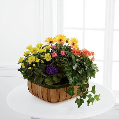 Gentle Blossoms Basket –  Flower.delivery, Tontitown AR