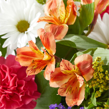 Oopsie Daisy Box Bouquet –  Flower.delivery, Tontitown AR