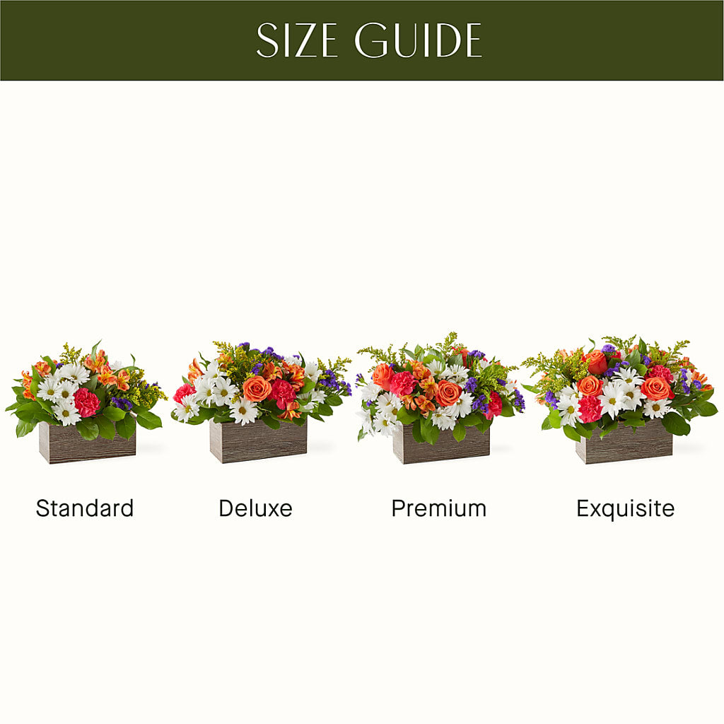 Oopsie Daisy Box Bouquet –  Flower.delivery, Tontitown AR