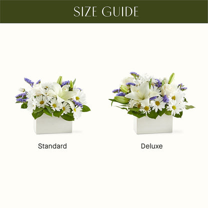 Beyond Blue Box Bouquet –  Flower.delivery, Tontitown AR