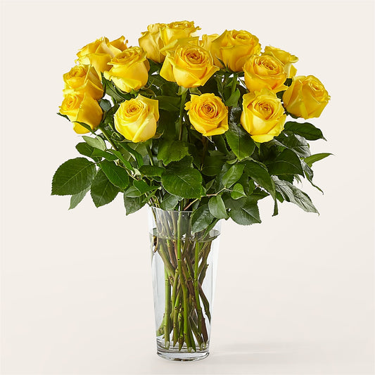 Long Stem Yellow Rose Bouquet –  Flower.delivery, Tontitown AR