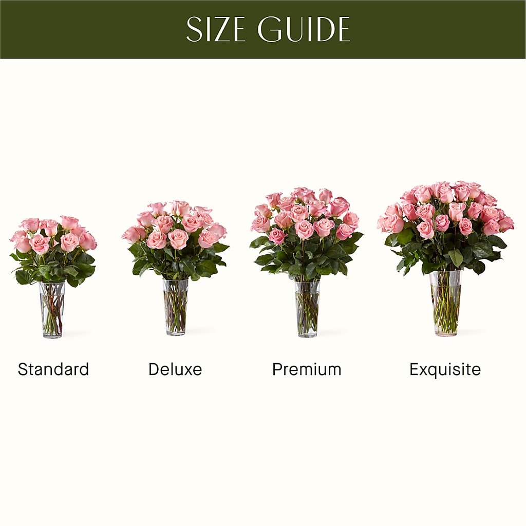 Long Stem Pink Rose Bouquet –  Flower.delivery, Tontitown AR