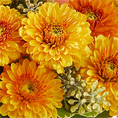 Peachy Pumpkin –  Flower.delivery, Tontitown AR