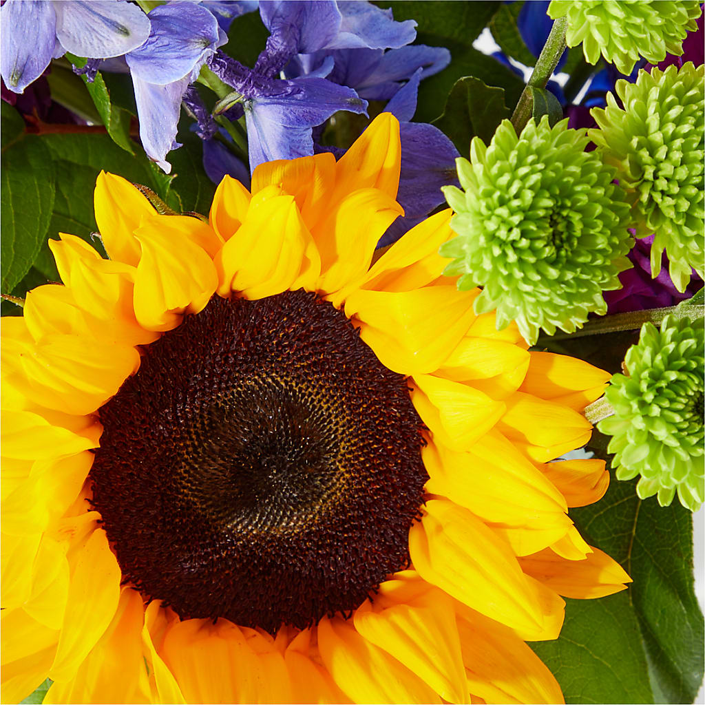 Catching Rays Bouquet –  Flower.delivery, Tontitown AR