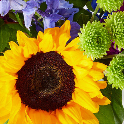 Catching Rays Bouquet –  Flower.delivery, Tontitown AR