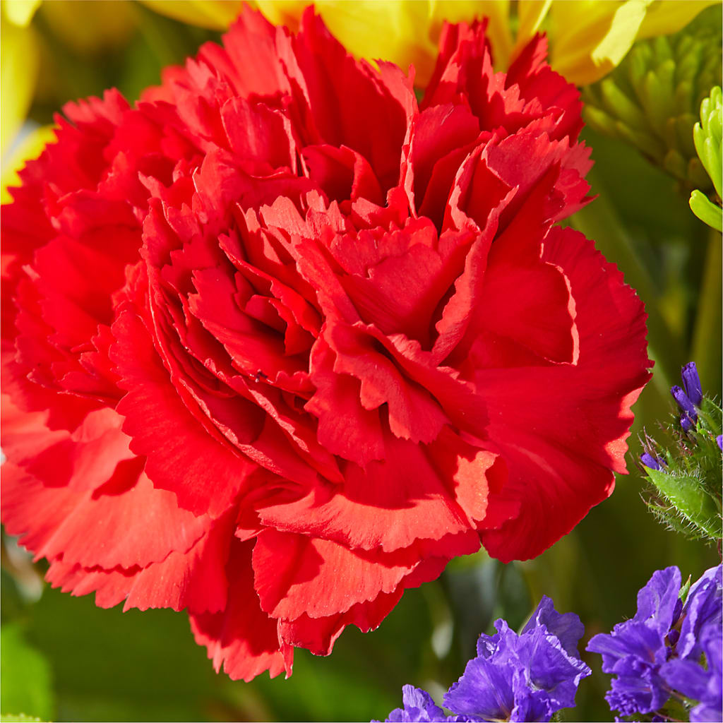 Brighter Days Bouquet –  Flower.delivery, Tontitown AR