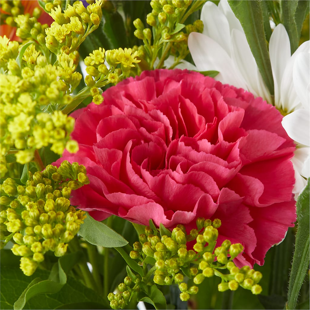 Oopsie Daisy Bouquet –  Flower.delivery, Tontitown AR