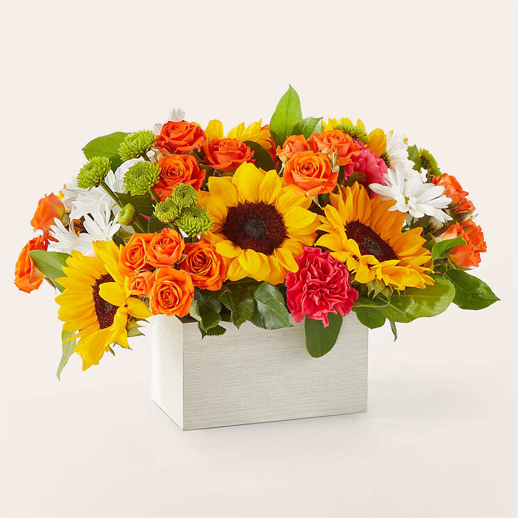 Sun-drenched Blooms Box Bouquet –  Flower.delivery, Tontitown AR