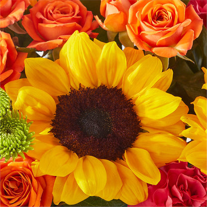 Sun-drenched Blooms Box Bouquet –  Flower.delivery, Tontitown AR