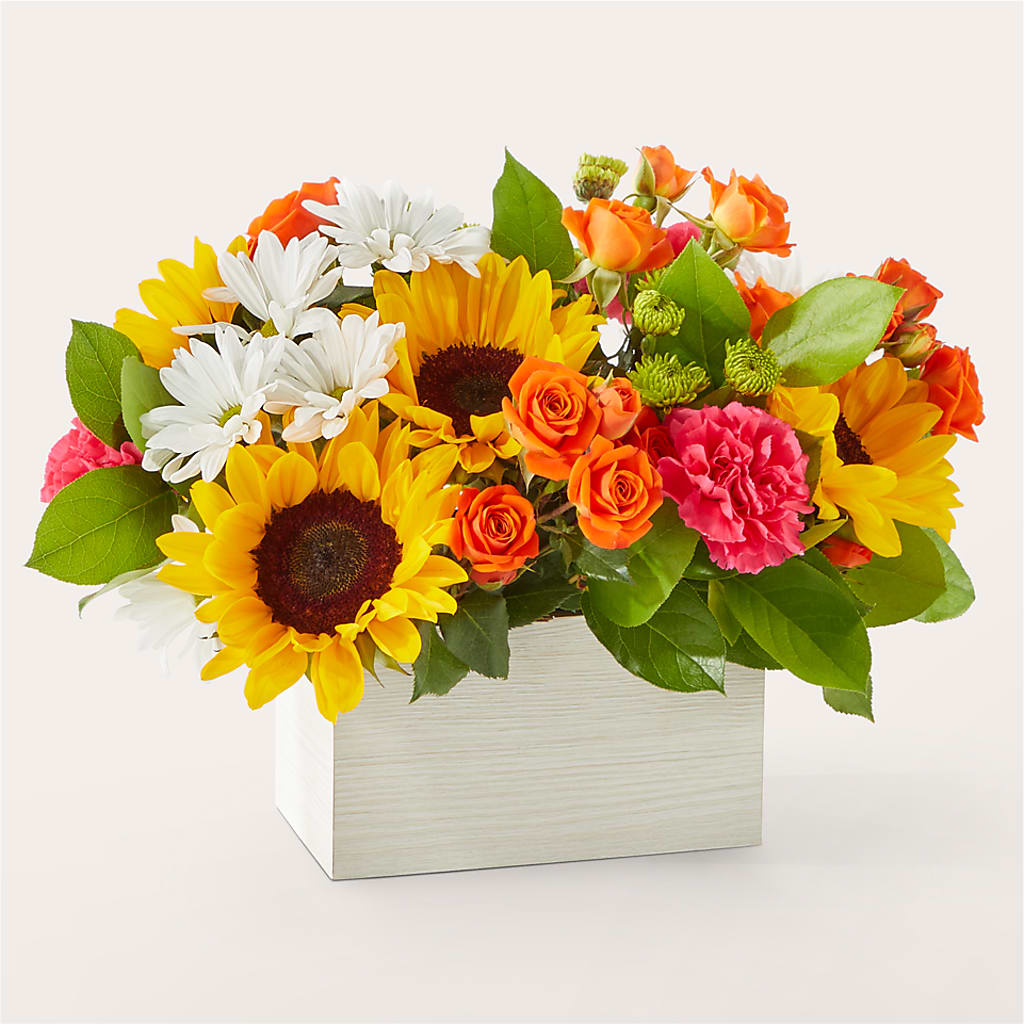 Sun-drenched Blooms Box Bouquet –  Flower.delivery, Tontitown AR