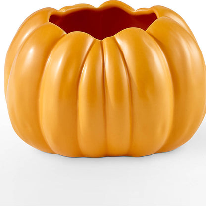 Pick of the Patch Pumpkin Bouquet –  Flower.delivery, Tontitown AR