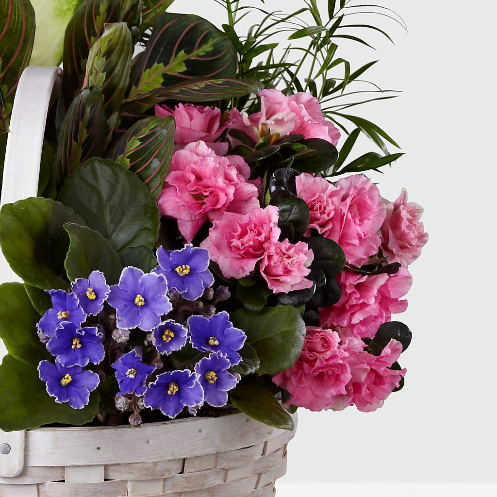 Peaceful Garden Planter –  Flower.delivery, Tontitown AR