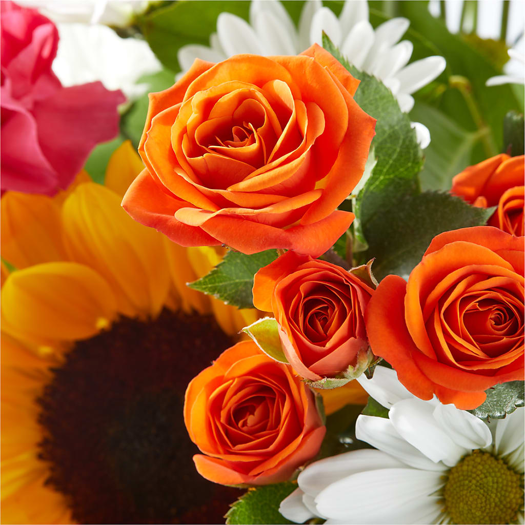 Sun-drenched Blooms Bouquet –  Flower.delivery, Tontitown AR