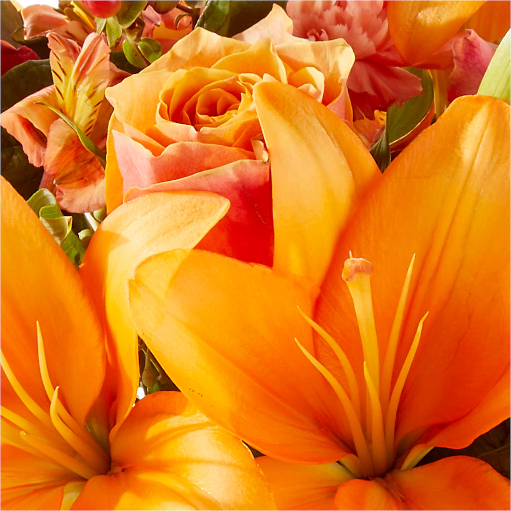 Afternoon Light Bouquet –  Flower.delivery, Tontitown AR