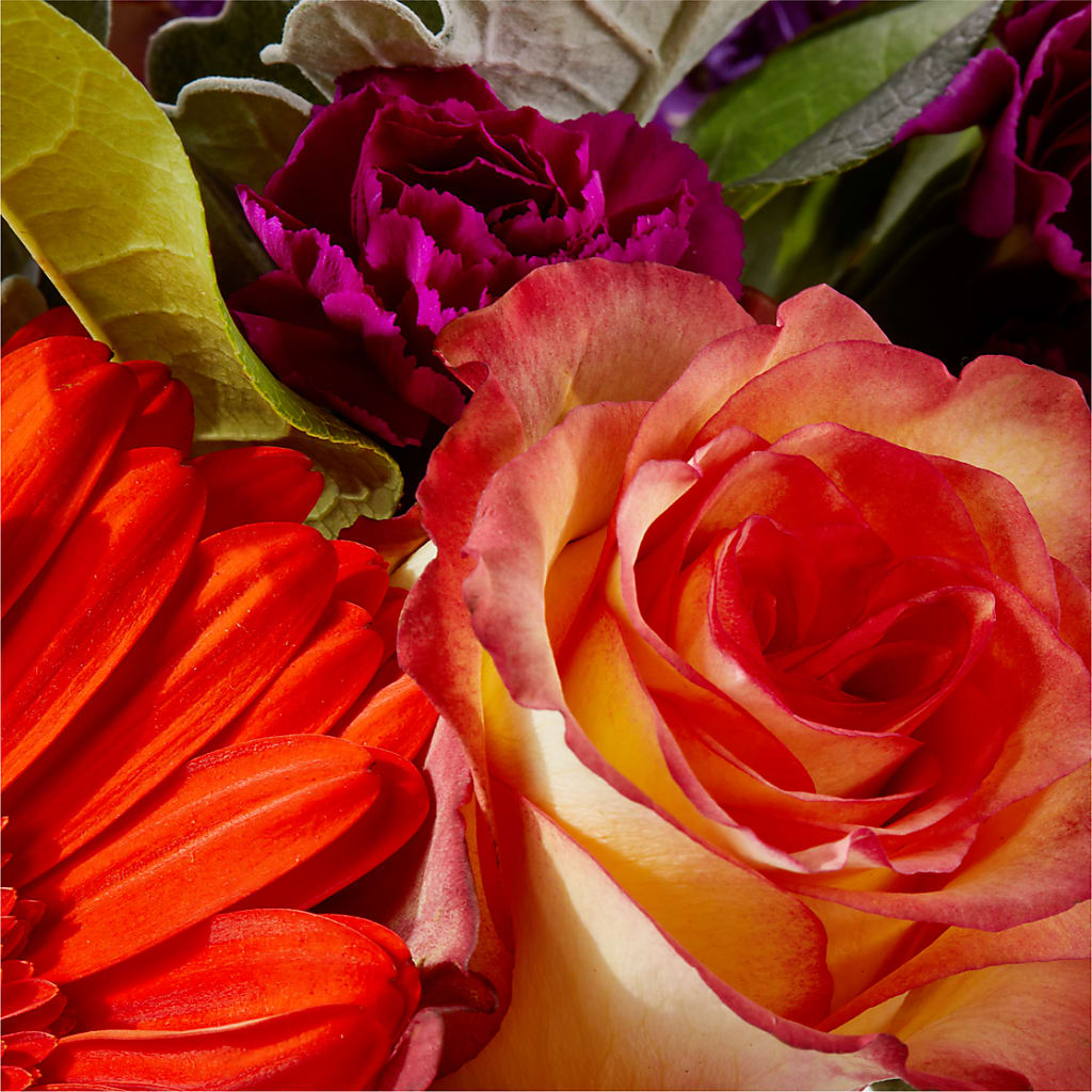 Sangria Bouquet –  Flower.delivery, Tontitown AR