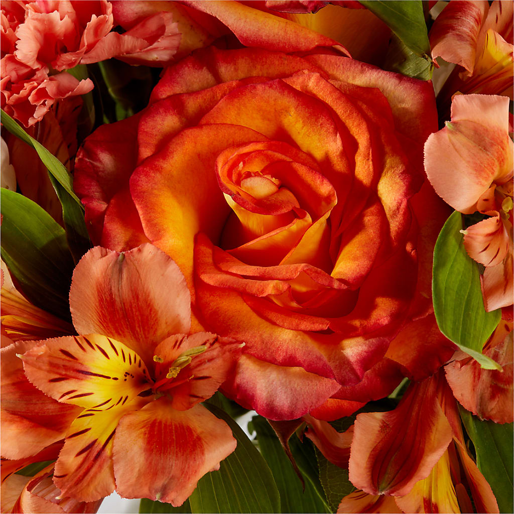 Apricot Glow Bouquet –  Flower.delivery, Tontitown AR