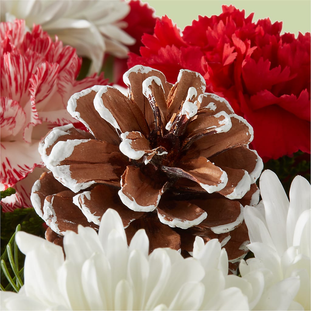 Candy Cane Lane Bouquet –  Flower.delivery, Tontitown AR