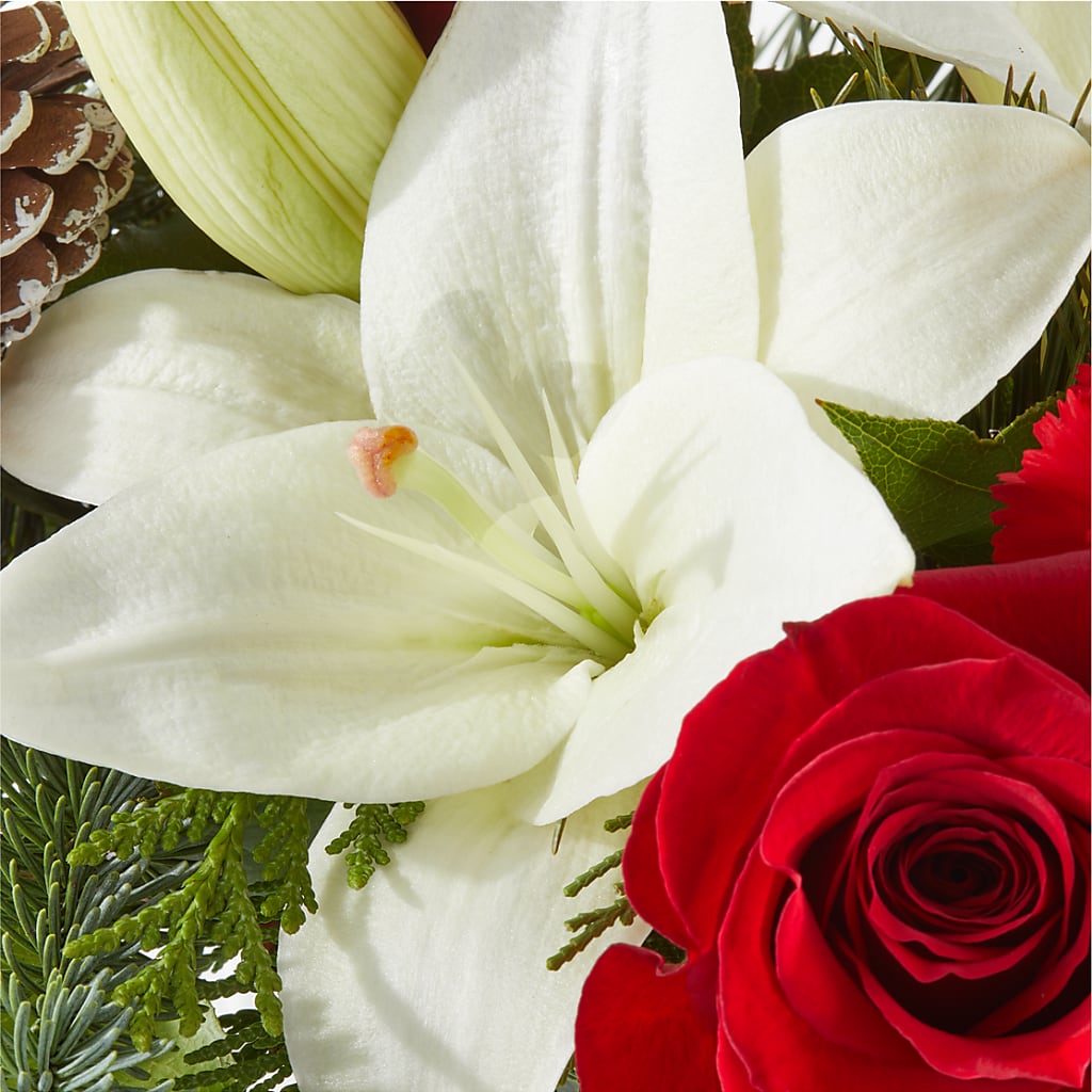 Oh So Jolly Bouquet –  Flower.delivery, Tontitown AR