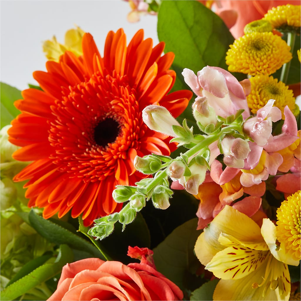 Autumn Sunshine Bouquet –  Flower.delivery, Tontitown AR