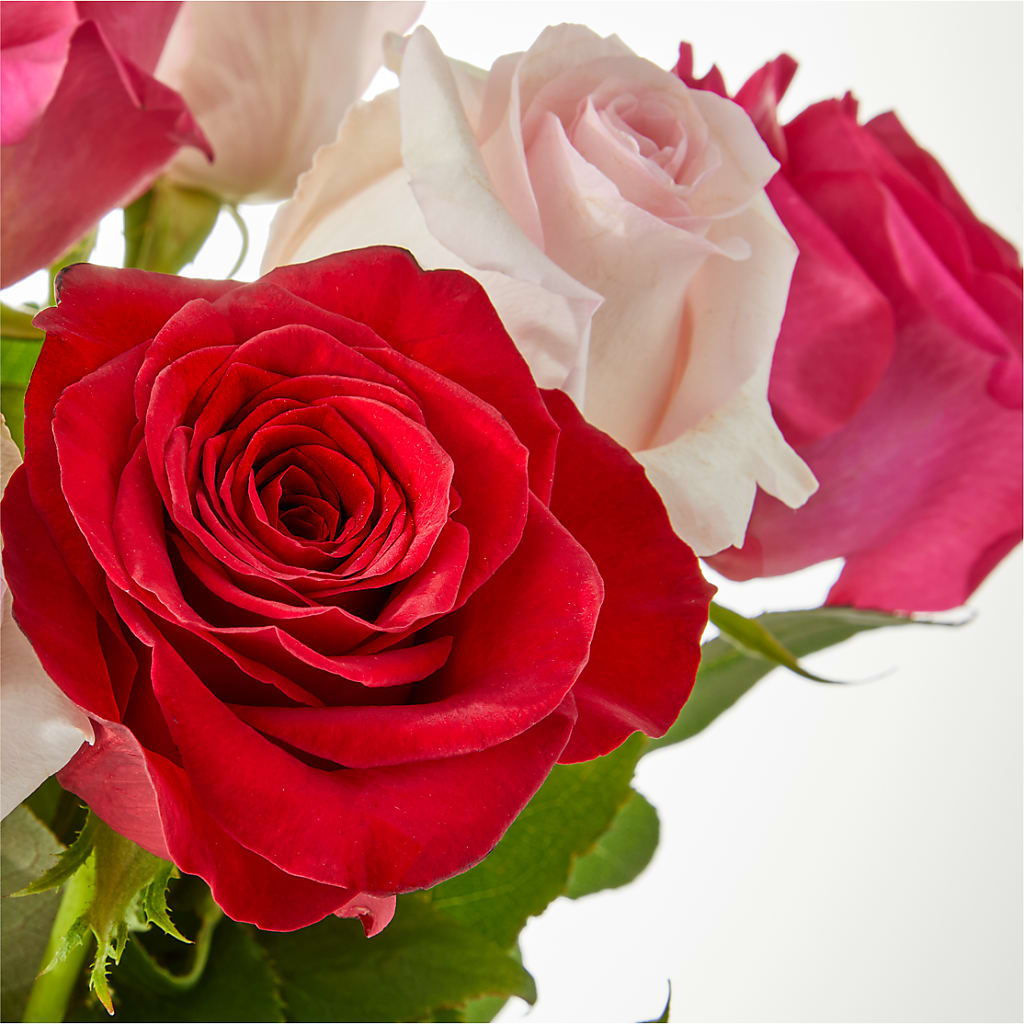 Charming Rose Bouquet –  Flower.delivery, Tontitown AR