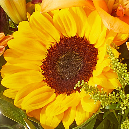 Seasons Change Bouquet –  Flower.delivery, Tontitown AR