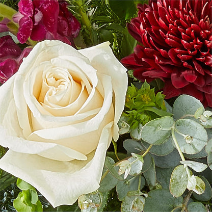 Cranberry Fizz Bouquet –  Flower.delivery, Tontitown AR