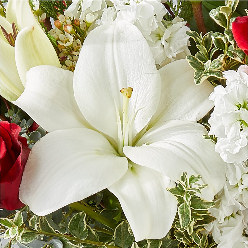 Twinkle Lights Bouquet –  Flower.delivery, Tontitown AR