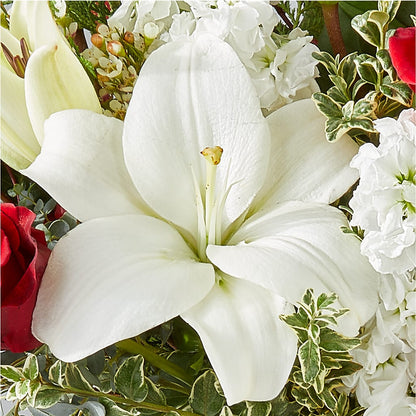 Twinkle Lights Bouquet –  Flower.delivery, Tontitown AR