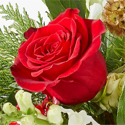 Deck the Halls Bouquet –  Flower.delivery, Tontitown AR
