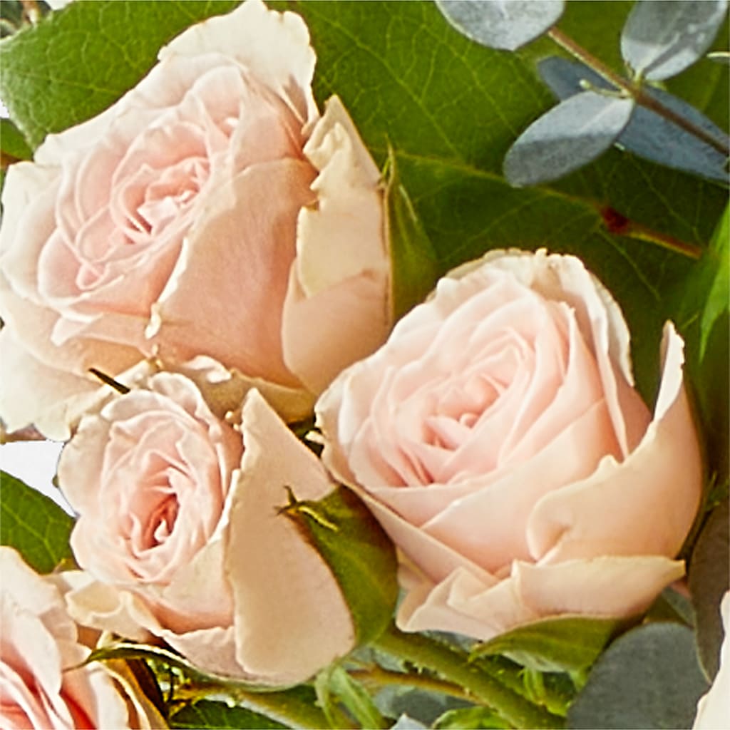Inspired Bouquet –  Flower.delivery, Tontitown AR