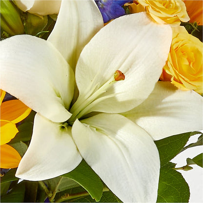 Wonderfully Sunny Bouquet –  Flower.delivery, Tontitown AR