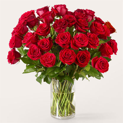 The One Red Rose Bouquet –  Flower.delivery, Tontitown AR