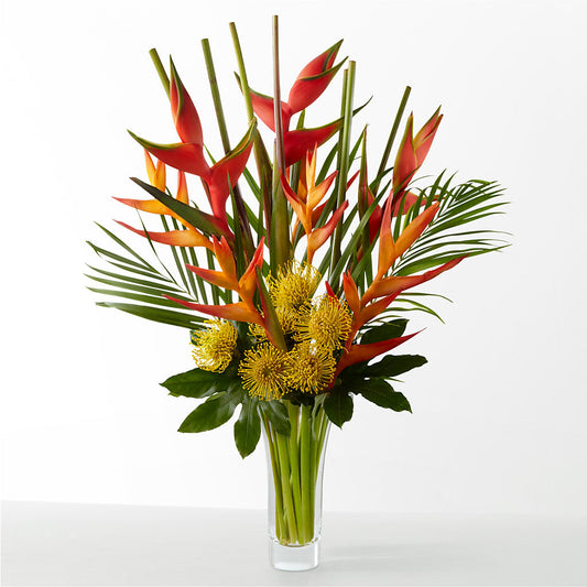 The Drama –  Flower.delivery, Tontitown AR